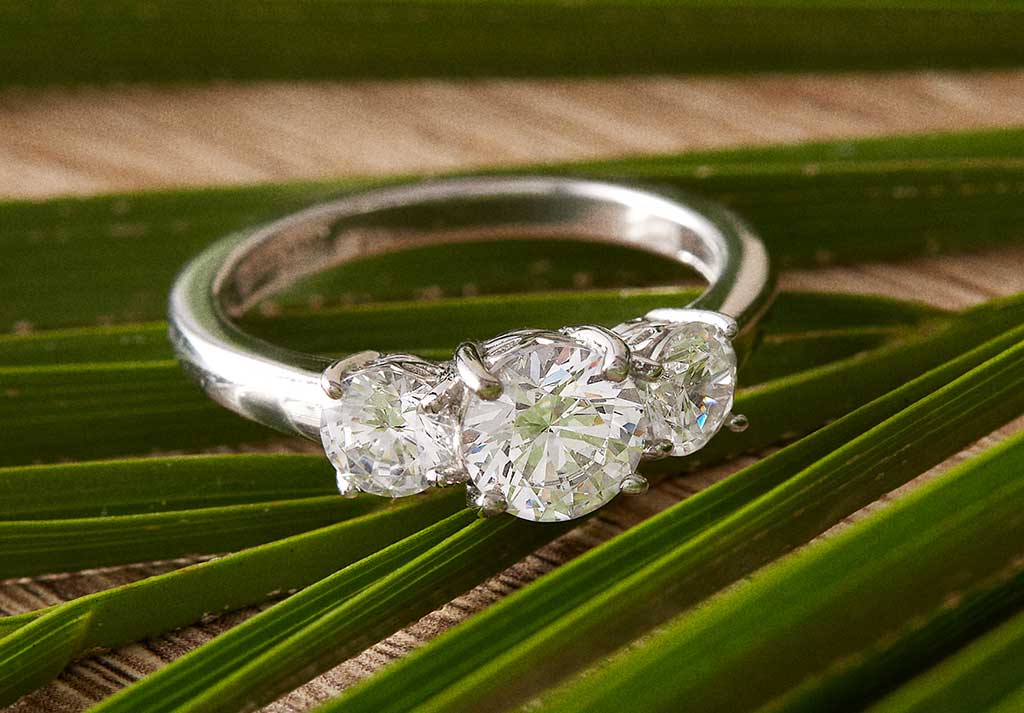 A Brilliant Way to Make Every Day Earth Day