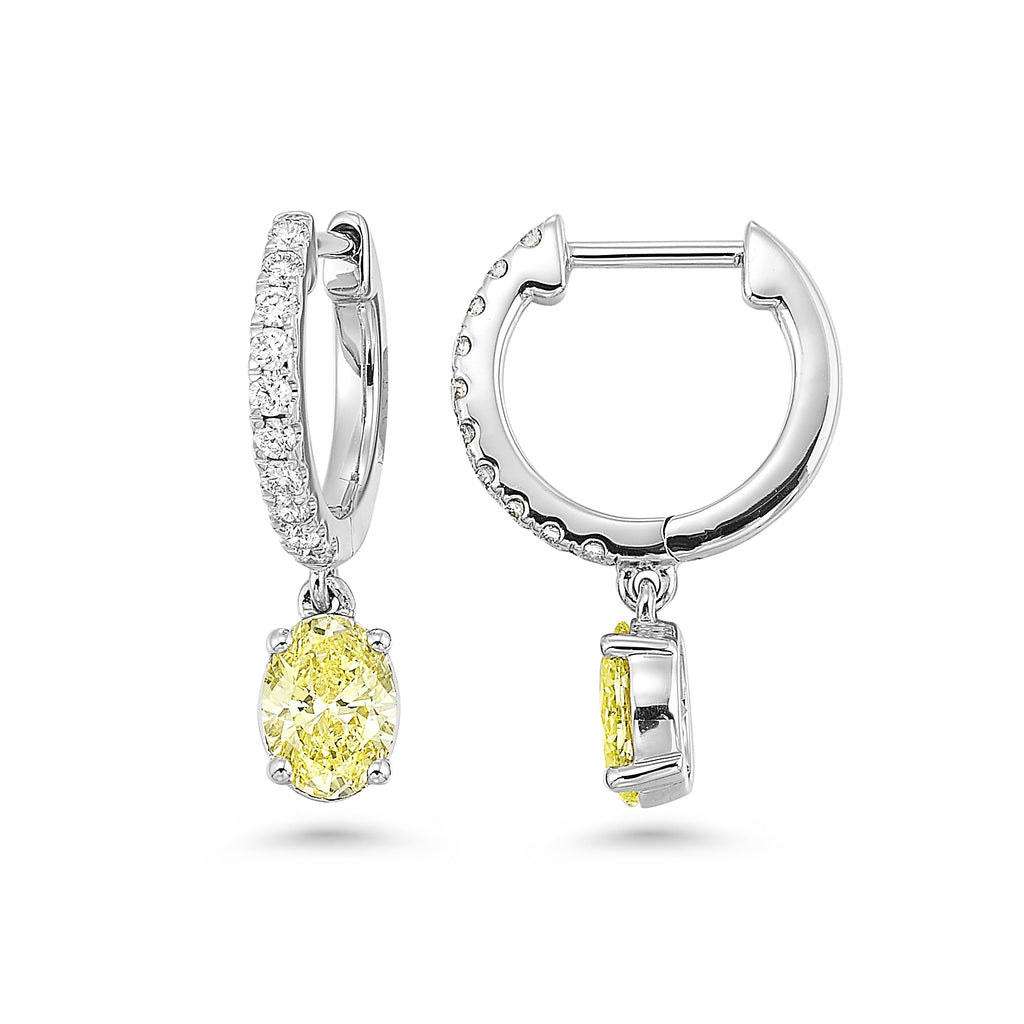 Hoops with Yellow Diamond Dangle Earrings in 14K Gold